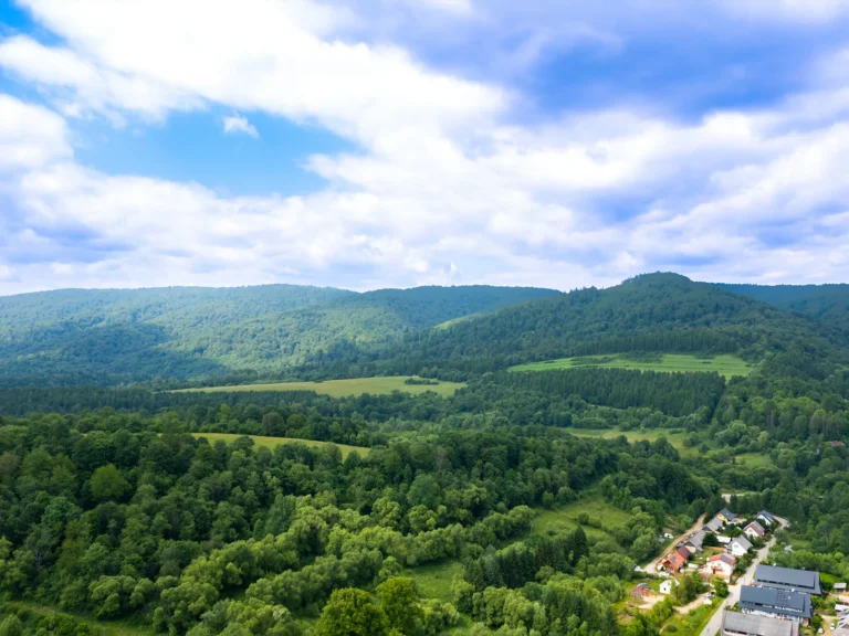 W Dolinie Sanu w Zatwarnicy - zdjęcie z galerii (9)