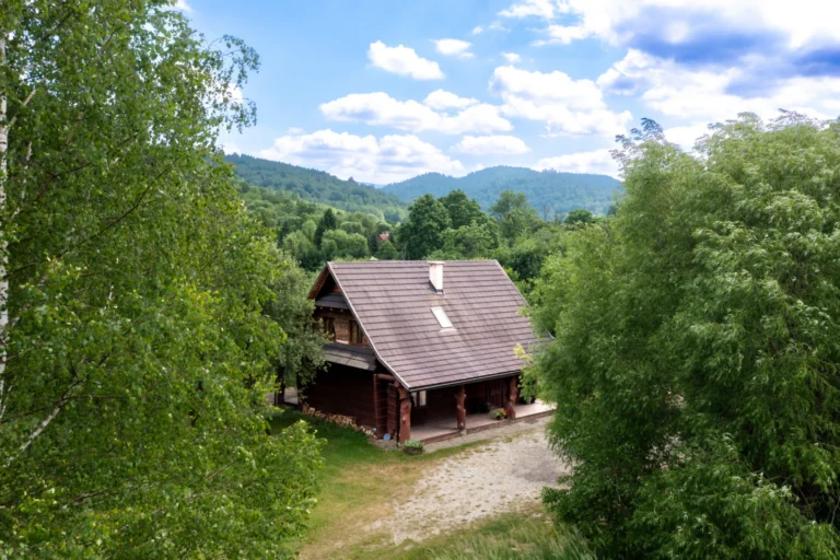 Dom piętrowy BEAR z zewnątrz, w tle bieszczadzkie wzgórza — dom piętrowy BEAR, domki W Dolinie Sanu w Zatwarnicy (Bieszczady)