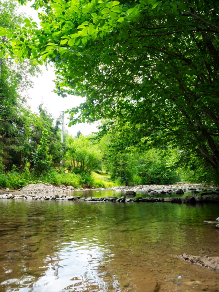 Potok Głęboki tuż przy domku — dom piętrowy BEAR, domki W Dolinie Sanu w Zatwarnicy (Bieszczady)