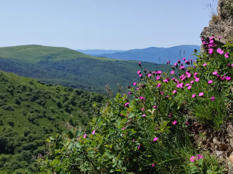 Panorama z Bukowego Berda, okolice domków W Dolinie Sanu w Zatwarnicy