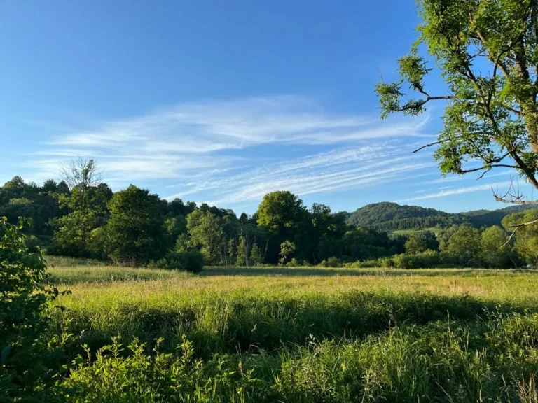 Panorama Doliny Sanu, okolice domków W Dolinie Sanu w Zatwarnicy