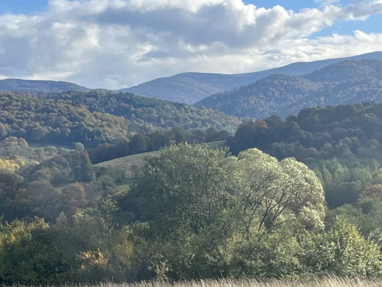 Zalesione wzgórza nad Doliną Sanu, okolice domków W Dolinie Sanu w Zatwarnicy