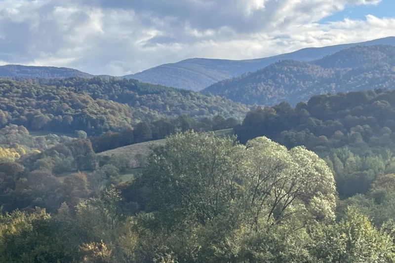 Zalesione wzgórza nad Doliną Sanu, okolice domków W Dolinie Sanu w Zatwarnicy