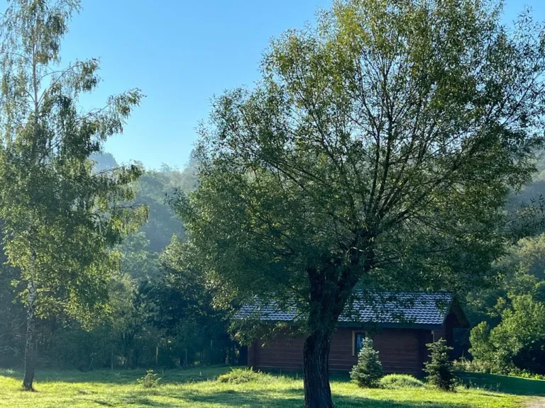 Domek LYNX widziany zza drzew — domek parterowy LYNX, domki W Dolinie Sanu w Zatwarnicy (Bieszczady)