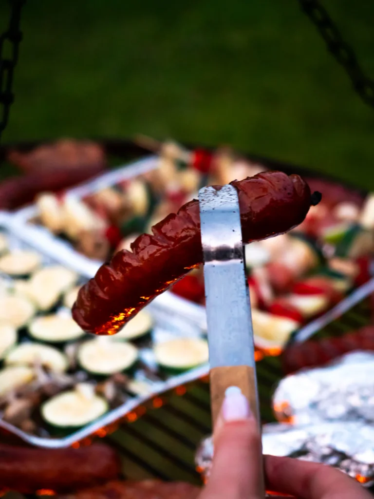 Grill z kiełbasą i warzywami — domek parterowy LYNX, domki W Dolinie Sanu w Zatwarnicy (Bieszczady)