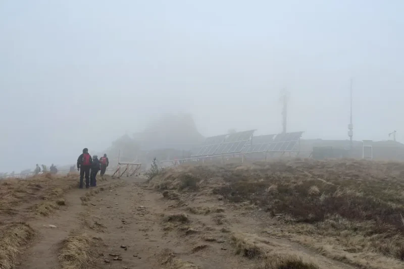 Połonina Wetlińska we mgle, okolice domków W Dolinie Sanu w Zatwarnicy
