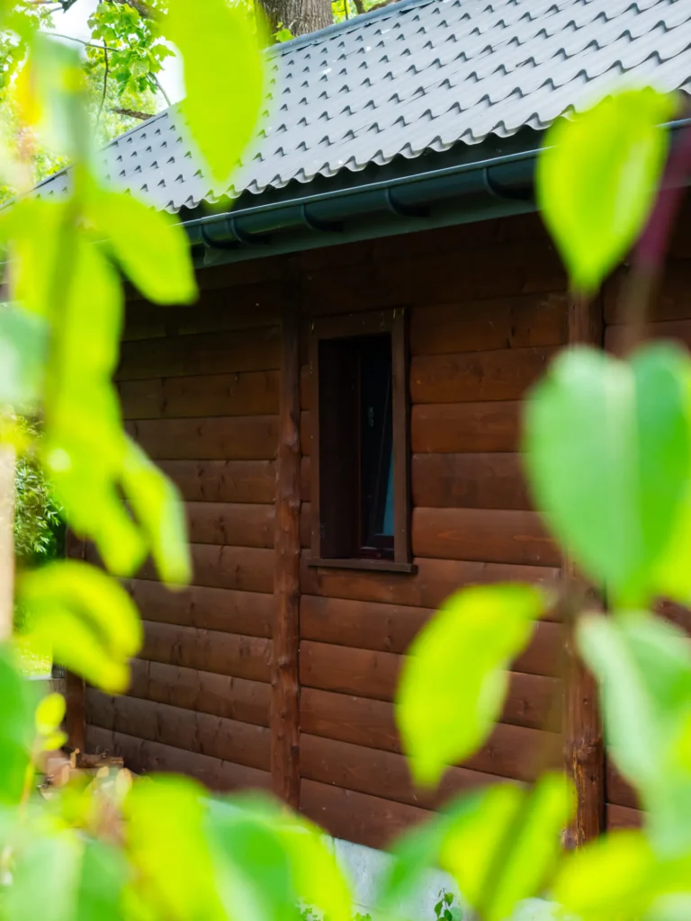 Okno domku STRIX wśród liści — domek parterowy STRIX, domki W Dolinie Sanu w Zatwarnicy (Bieszczady)