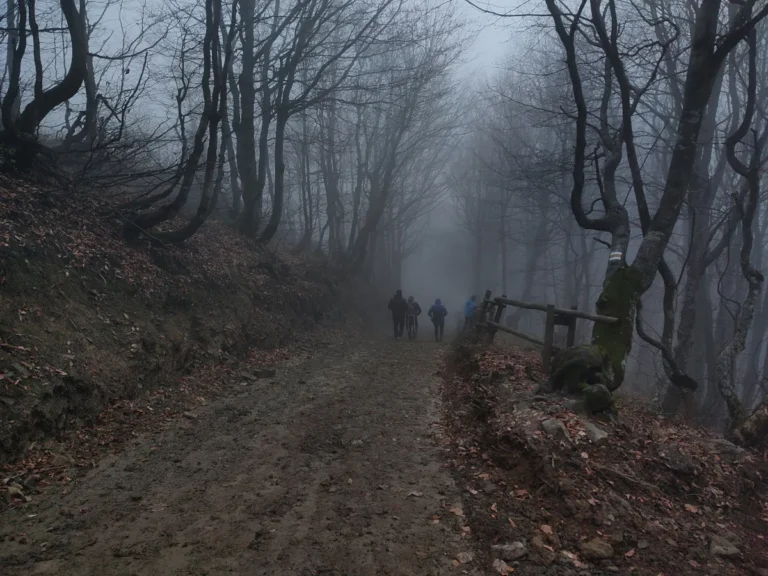 Szlak na Połoninę Wetlińską we mgle, okolice domków W Dolinie Sanu w Zatwarnicy
