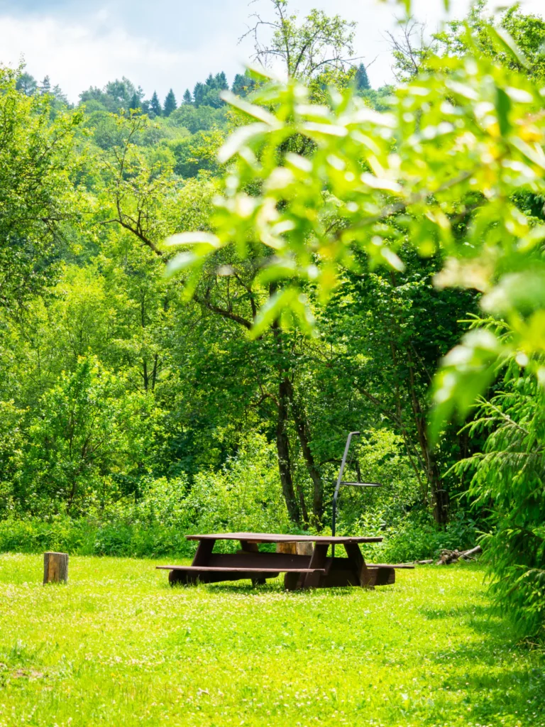 Stół piknikowy z ławami i grill z rusztem na trawiastej polanie wśród zieleni — domek parterowy WOLF, domki W Dolinie Sanu w Zatwarnicy (Bieszczady)